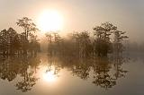 Foggy Lake Martin Sunrise_26798